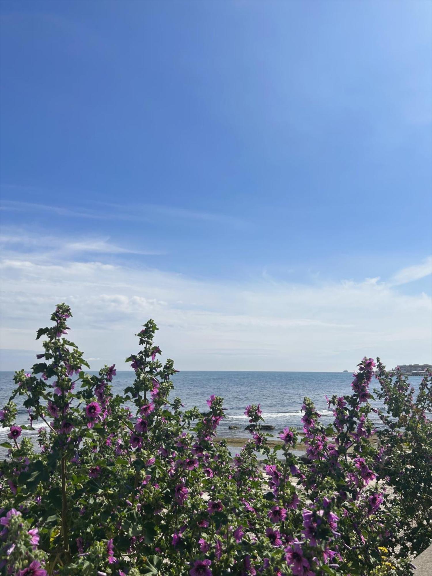 Orchidea Bed & Breakfast Bari Eksteriør bilde